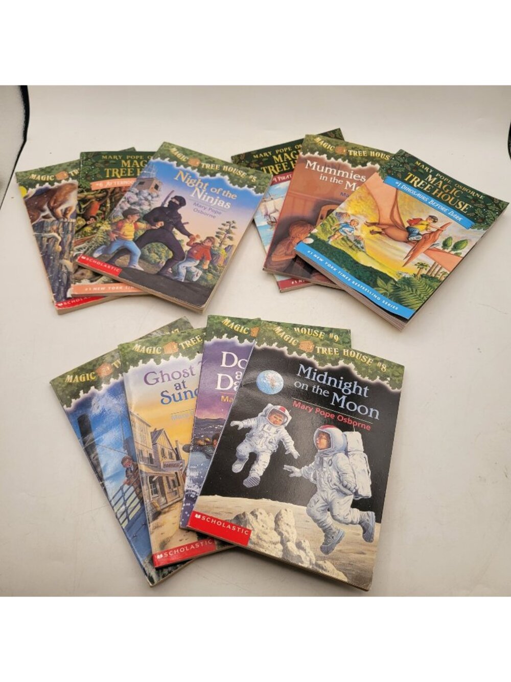 MAGIC TREE HOUSE Lot of 10 Chapter Books by Mary Pope Osborne - BK317